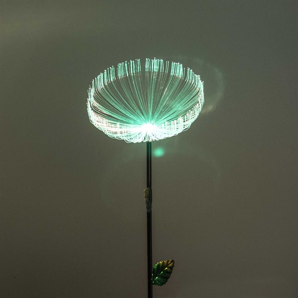 Mælkebøtten en dekorativ solcellelampe med fiberoptik og farveskift GL091EZ